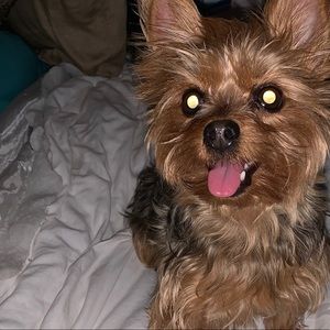 Meet your Posher, Maddie